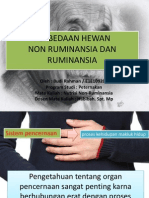 Perbedaan Non Ruminansia Dan Ruminansia