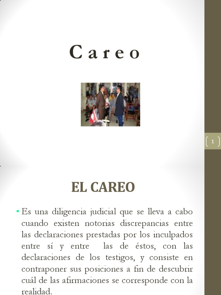 Diligencia de Careo Judicial en Procesos | PDF | Evidencia (ley ...