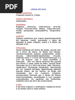 Língua-de-vaca - Chaptalia nutans [L.] Polak. -  Ervas Medicinais – Ficha Completa Ilustrada