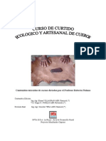 Curtido_cueros.pdf