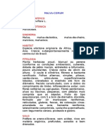 Malva-Comum - Malva Parviflora L. - Ervas Medicinais - Ficha Completa Ilustrada