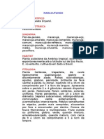 Maracutango - Passiflora Alata Dryand. - Ervas Medicinais - Ficha Completa Ilustrada