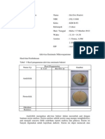Laporan Aktivitas Enzimatis Mikroorganisme