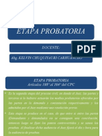 ETAPA PROBATORIA 18-11-2013.pptx