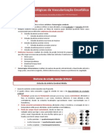 Alterações Patológicas da Vascularização Encefálica