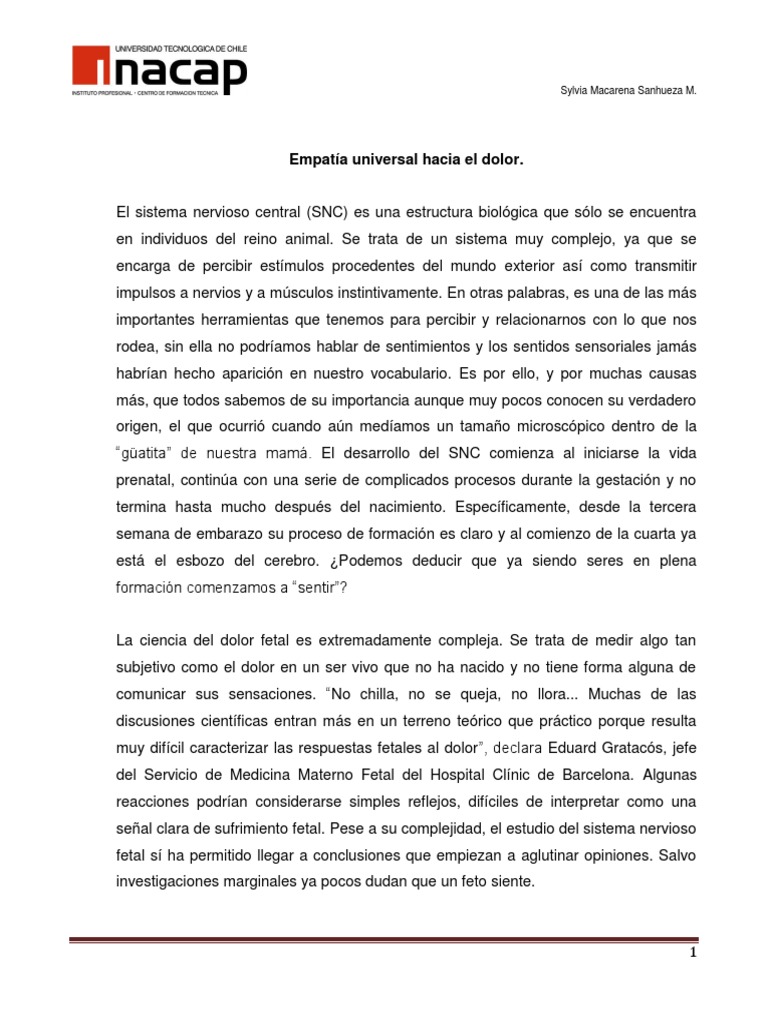 Ensayo Argumentativo Sobre El Aborto Dolor Sistema