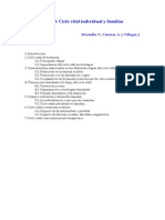 Ciclovitalfamiliareindividual PDF