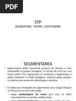 segmentare tintire pozitionare
