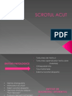 180972816 Scotul Acut PDF