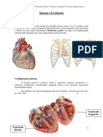 Coração Detalhado