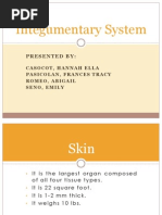 Integumentary System