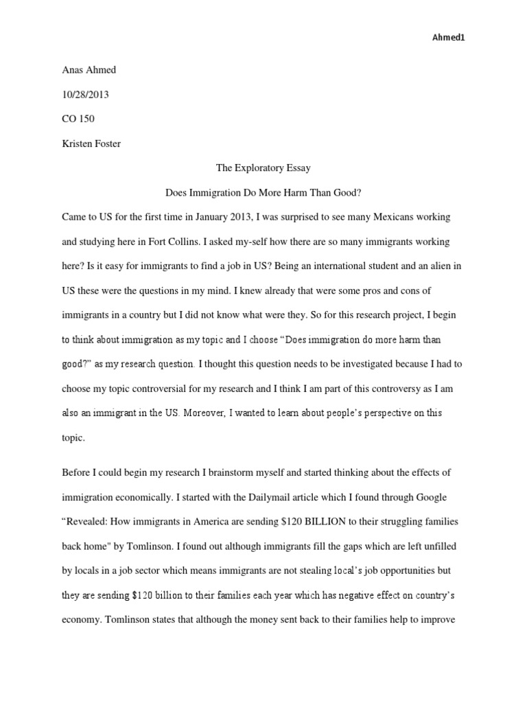 Implications of Illegal Immigration in the US - Words | Essay Example