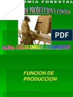 2.1 Funciones de Produccion y Costos