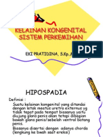 Kelainan Kongenital Sistem Perkemihan