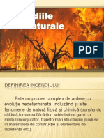 Incendiile Naturale