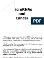 17b MicroRNAs and Cancer - Copia