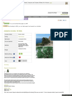 WWW Pfaf Org User Plant Aspx LatinName Juniperus Excelsa PDF