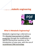 Plant Metabolic Engineering