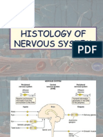Histology of Nervous System