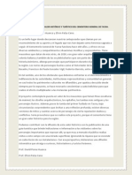 Articulo Proyecto Comunitario