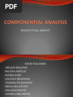 Componential Analysis