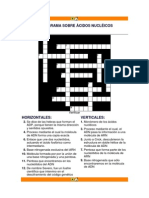 Crucigrama Sobre Ácidos Nucléicos
