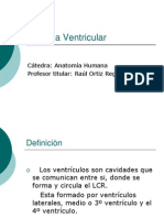 Sistema Ventricular