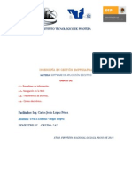 Ensayo Unidad 4 Software de Aplicacion