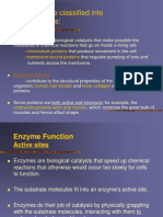 Proteins Can Be Classified Into Two Broad Types