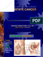 E. Cancer - Prostate Cancer