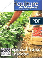 Agriculture Du Maghreb (Fruits Rouges)