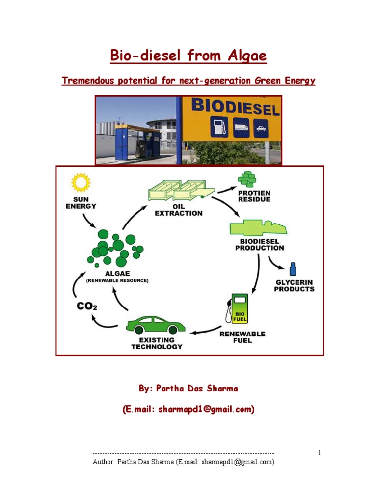 Algae-Based Biodiesel Production Insights | PDF | Algae Fuel | Biodiesel