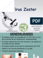ZOSTER