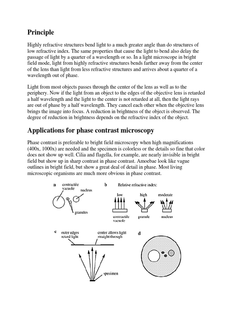 Advantages of Phase Contrast Microscopy | PDF | Microscopy | Optics