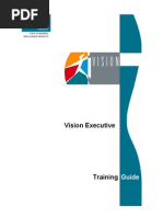 Vision Executive