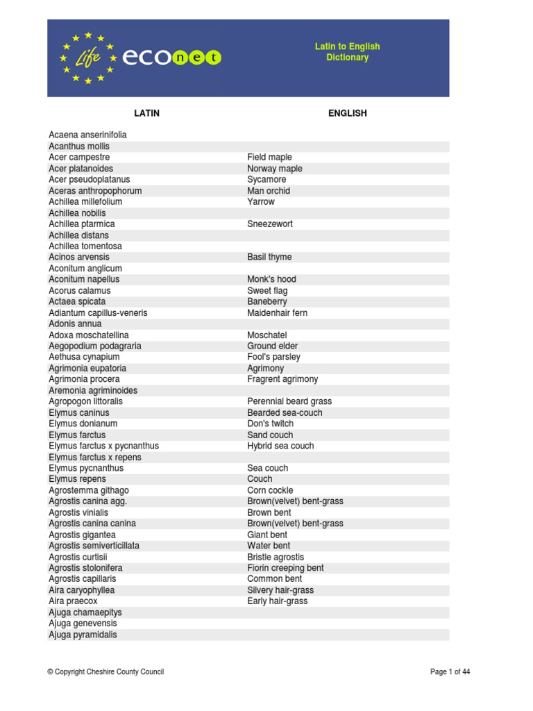 An English To Latin | PDF | Home & Garden | Science & Mathematics