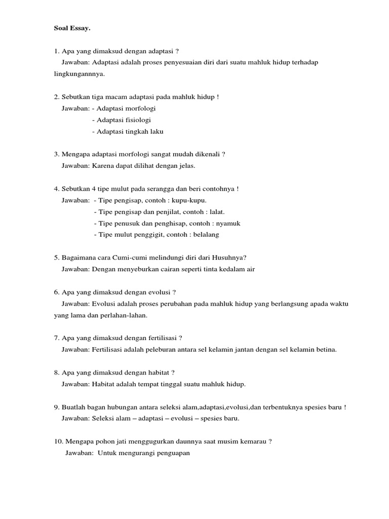 Soal Essay