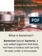 Introduction to Bacteria