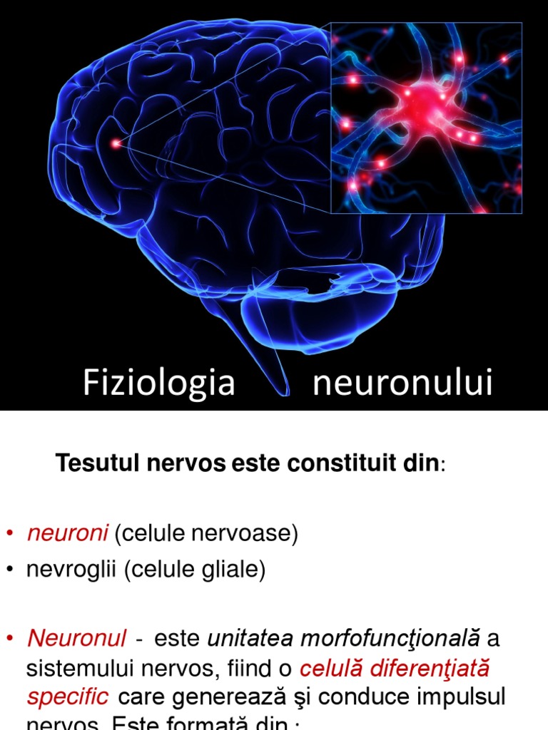 Fiziologia Neuronului | PDF