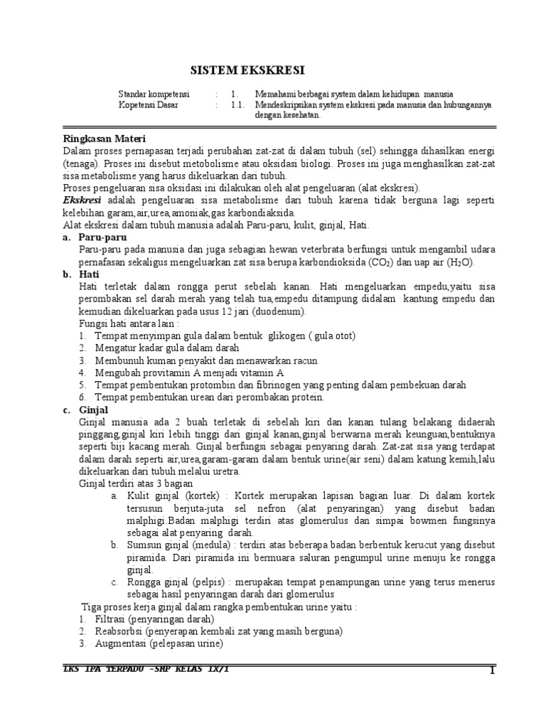 Sistem Ekskresi Pada Manusia Doc