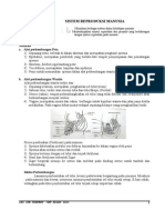 Sistem Reproduksi Manusia