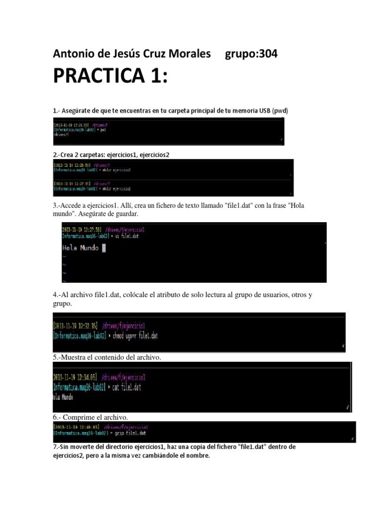Prácticas de Comandos en MS-DOS y Linux | PDF | Archivo de computadora ...