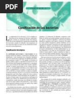 Download Clasificacion de Las Bacterias by GinoJossue SN18944592 doc pdf