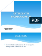 Detergente biodegradable: ventajas y componentes