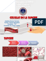 Celulas de La Sangre