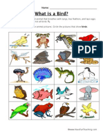 Classifying Birds Worksheet