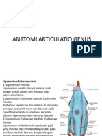 Anatomi Articulatio Genus