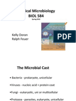 Medical Microbiology BIOL 584: Kelly Doran Ralph Feuer