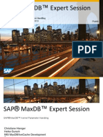 SAP MaxDB Database Parameter