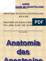 Anatomia Das Anestesias